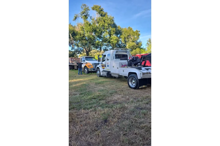 SERVICIO DE REMOLQUE DE GRÚAS image 2