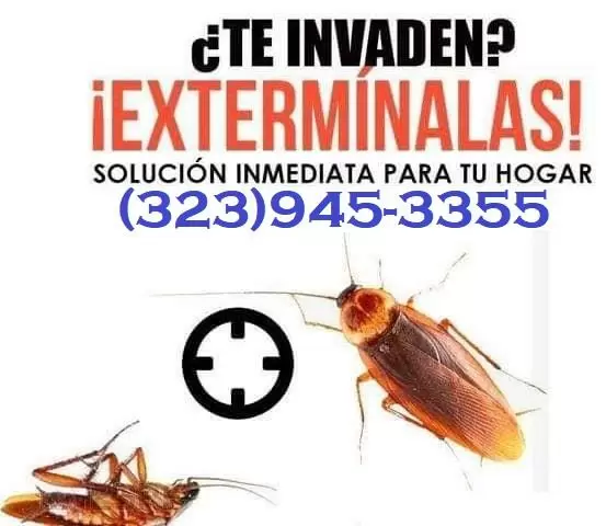 PEST CONTROL (323)945-3355 image 4