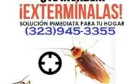 PEST CONTROL (323)945-3355 thumbnail