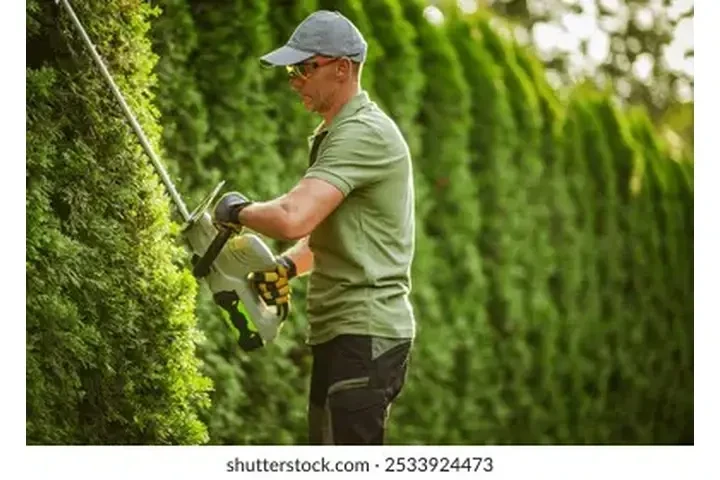 🫵LIMPIEZA,PINTURA, ROOFING image 6