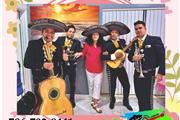 Mariachi los Mensajeros thumbnail