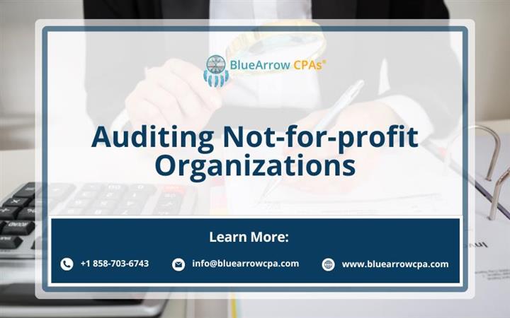 auditing not for profit org. image 1