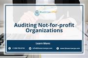 auditing not for profit org. en San Diego