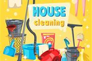 Aguirre House cleaning thumbnail 3