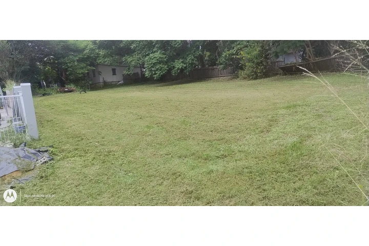 Jamy Mowing image 6