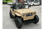 Gas 300CC Jeep Off-Road Buggy en Campeche
