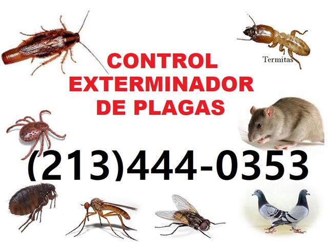 CONTROL EXTERMINADOR DE PLAGAS image 1