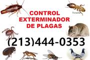 CONTROL EXTERMINADOR DE PLAGAS