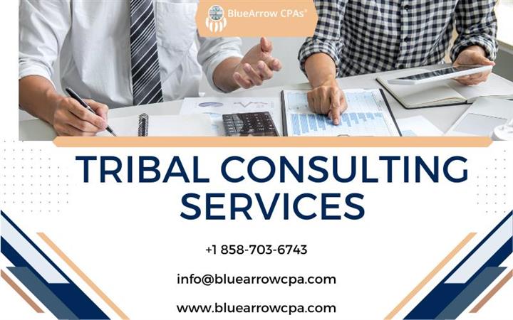 Tribal Consulting Services image 1