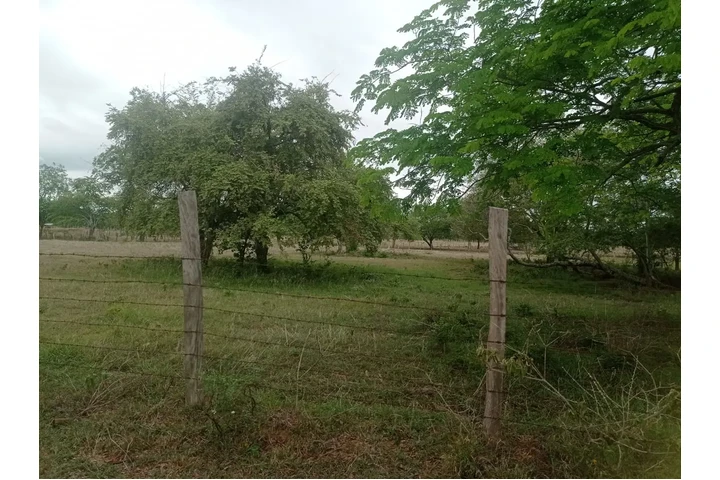 $85000000 : SE VENDE MAGNIFICO TERRENO image 6