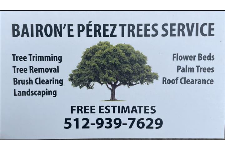 TREE SERVICES! image 8