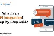 What is an API Integration?
