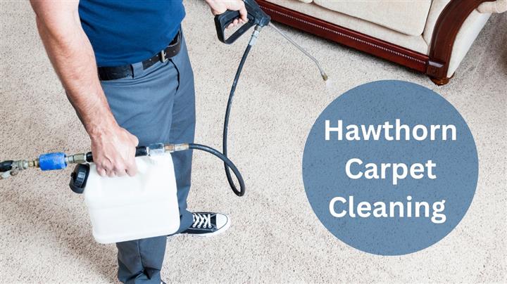 Hawthorn Carpet Cleaning image 1