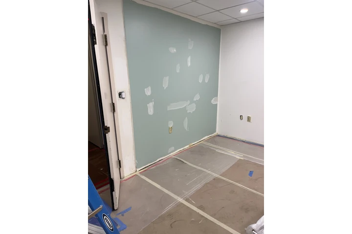 Pintor profesional image 6