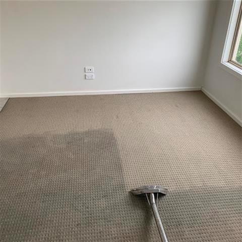 Hernandez Carpet Cleaning image 2