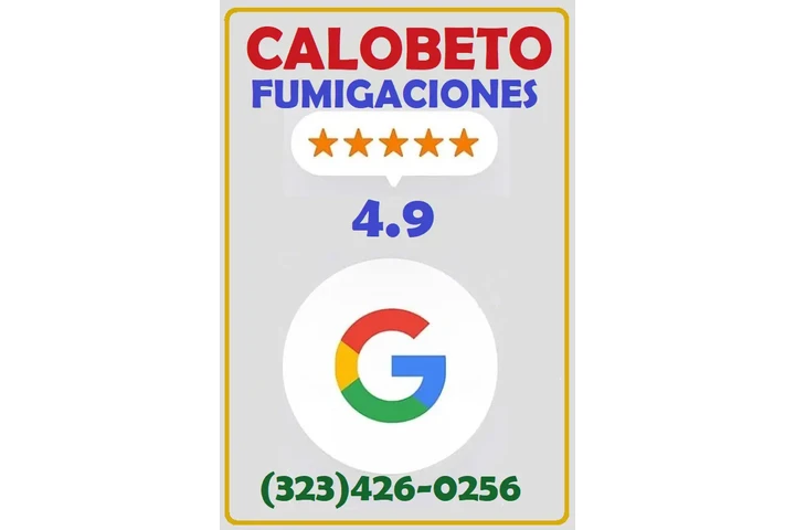 FUMIGADOR TERMITAS PLAGAS 24/7 image 1