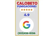 FUMIGADOR TERMITAS PLAGAS 24/7 en Los Angeles