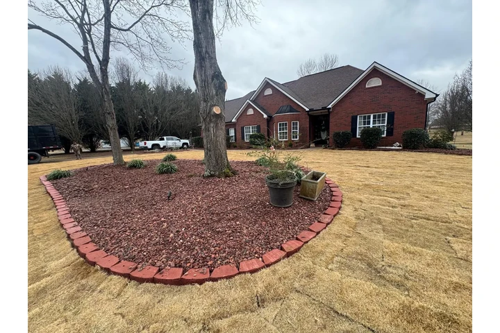 MG Tree Services LLC image 8