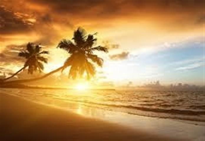 $1 : Vacaciones En Las Playas Carib image 8