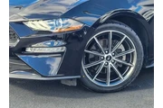 $23875 : Ford Mustang 2019 EcoBoost P thumbnail