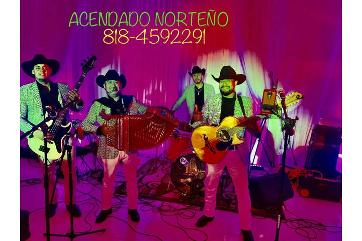 ACENDADO NORTEÑO image 1