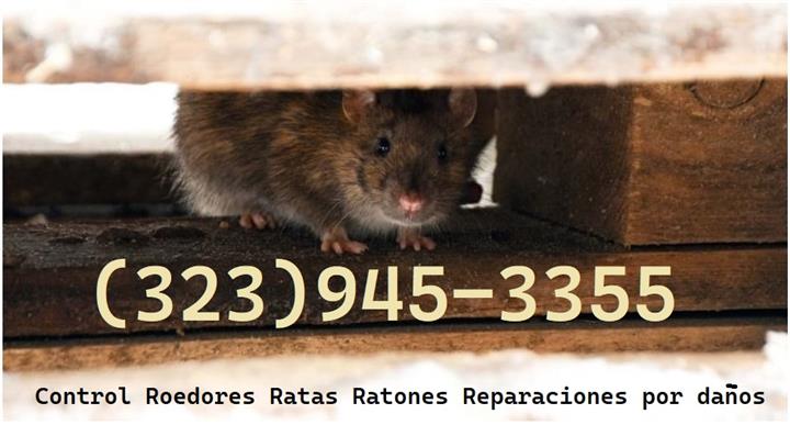 EXTERMINADORES CERCA L.A.-24/7 image 3