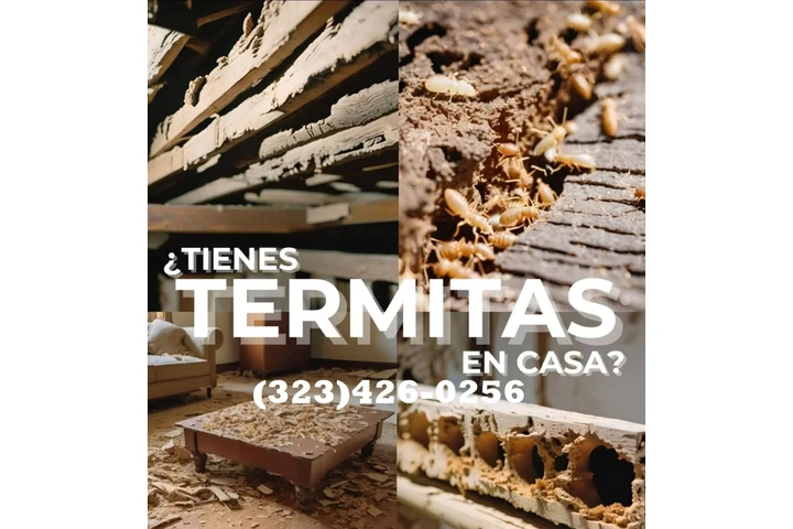 TERMITE CONTROL NEAR ME 24/7.- image 3