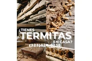 TERMITE CONTROL NEAR ME 24/7.- thumbnail