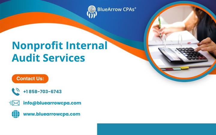 Nonprofit internal audit image 1