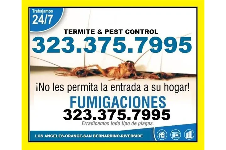 CONTROL PROFESIONAL DE PLAGAS image 1