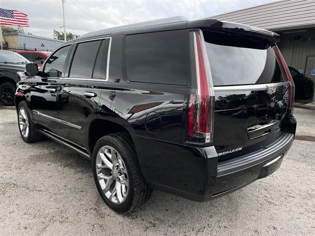 2018 Escalade Platinum image 4