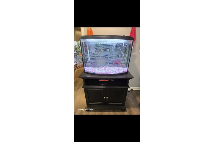 $250 : Acuarios de 35 y 20 galones image 7