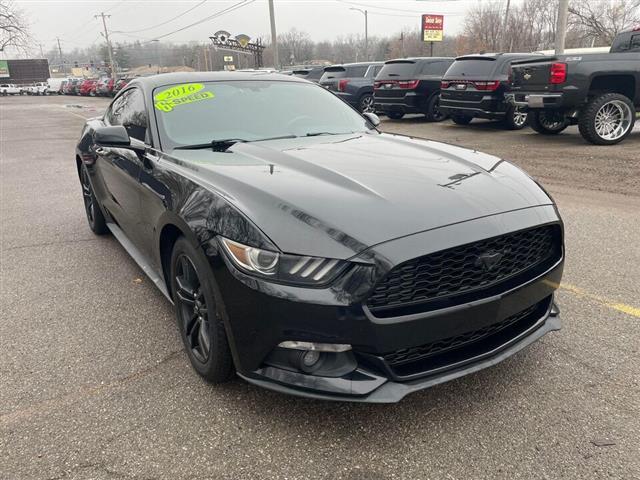 $15500 : 2016 Mustang EcoBoost image 1