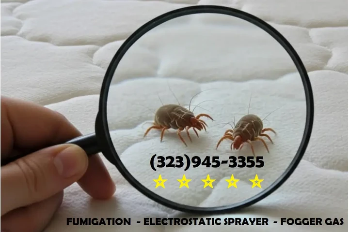 FUMIGACIONES - EXTERMINADORES image 4