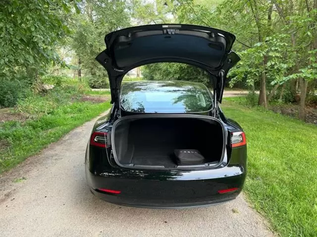 $15995 : 2019 Model 3 Standard Range P image 6