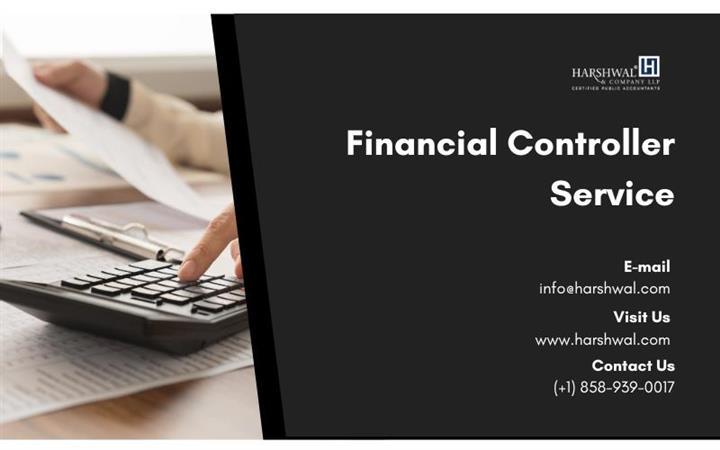 Financial Controller services image 1