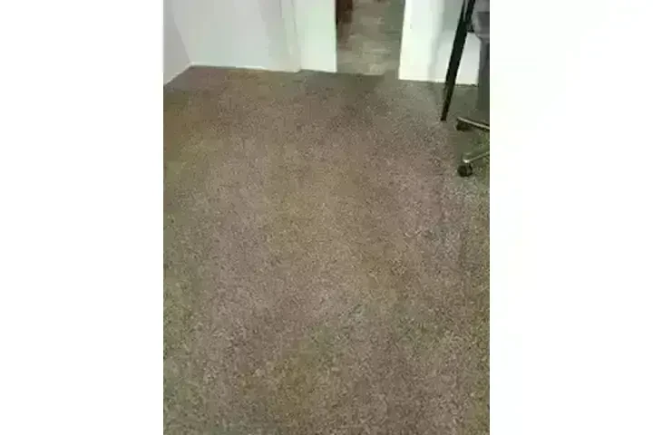 RC LIMPIEZA DE ALFOMBRAS image 2