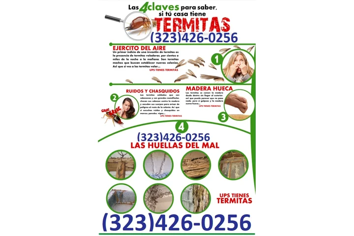 FUMIGACION TERMITAS 24/7 image 10
