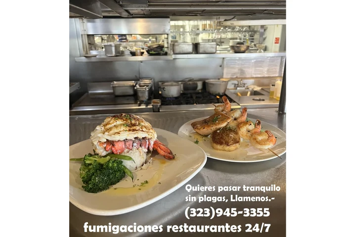 PEST CONTROL COMMERCIAL 24/7.- image 6