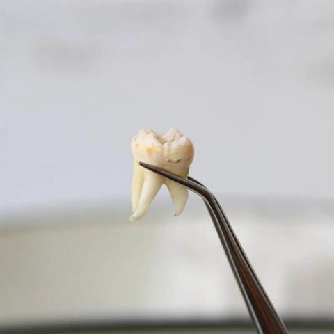 MARCOS TORRES DENTAL image 5