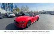 $27999 : Ford Mustang 2023 EcoBoost P thumbnail