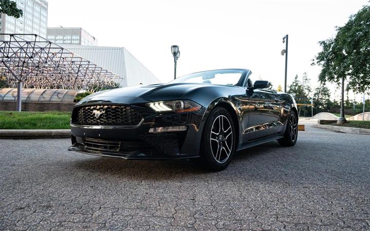 $27000 : 2020 FORD MUSTANG image 8