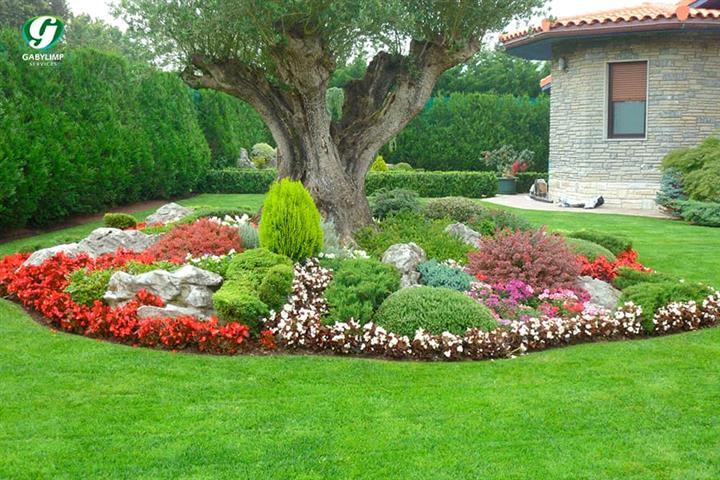 Elacios Gardening & Lanscapin image 3