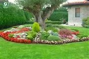 Elacios Gardening & Lanscapin thumbnail 3