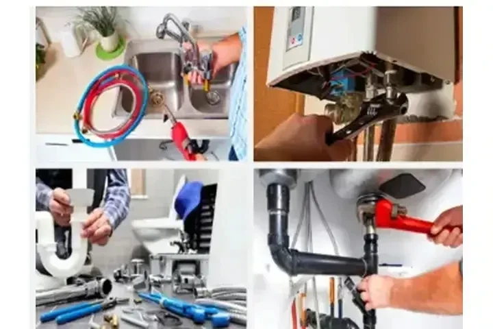 PLOMERIA EN GENERAL image 5