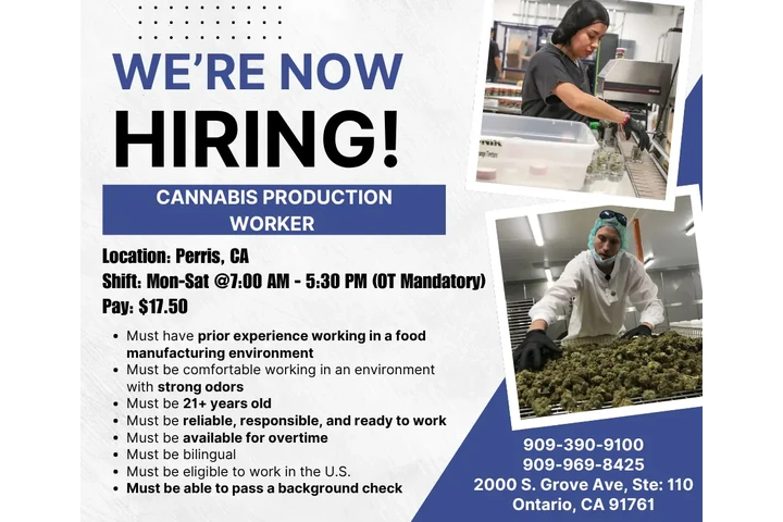 Cannabis Production Worker image 1