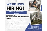 Cannabis Production Worker