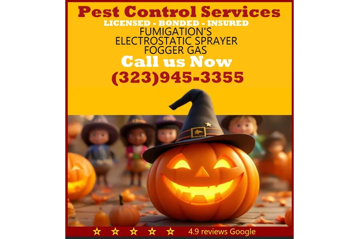 FUMIGACIONES 🎃 🦇 HALLOWEEN.- image 2