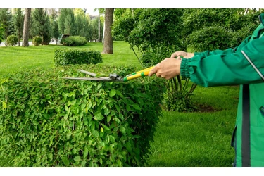 JARDINERÍA PROFESIONAL en San Francisco Bay Area