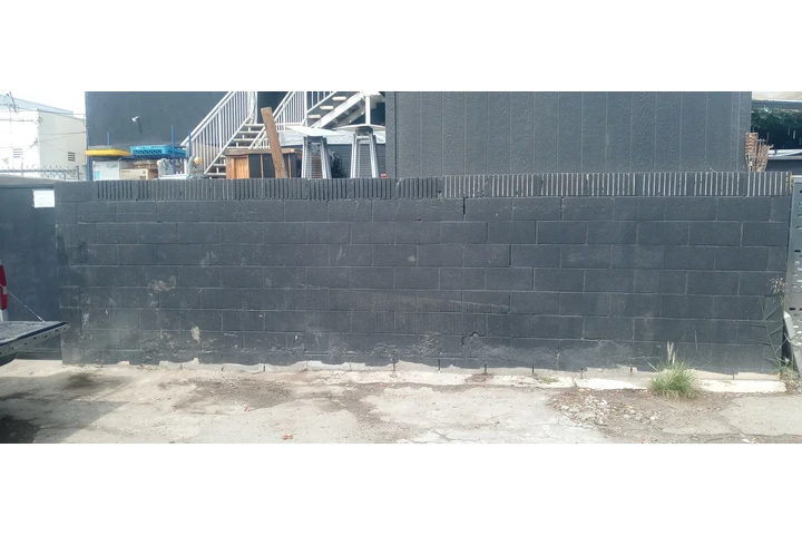 Se recoge basura image 2